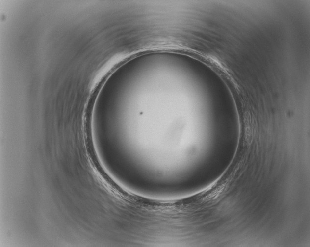 X0000057101422200509161643