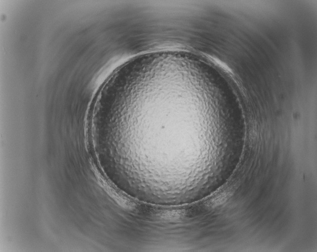 X0000057101423200509161643