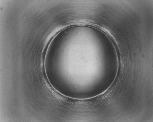 X0000057101424200509161643