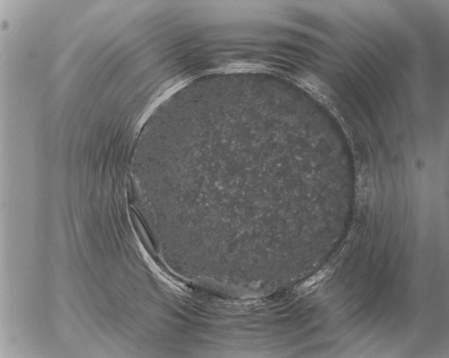 X0000057101425200509161643