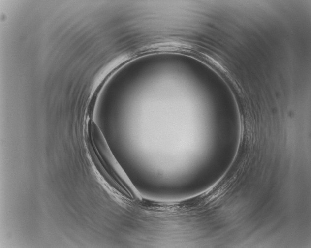 X0000057101426200509161643