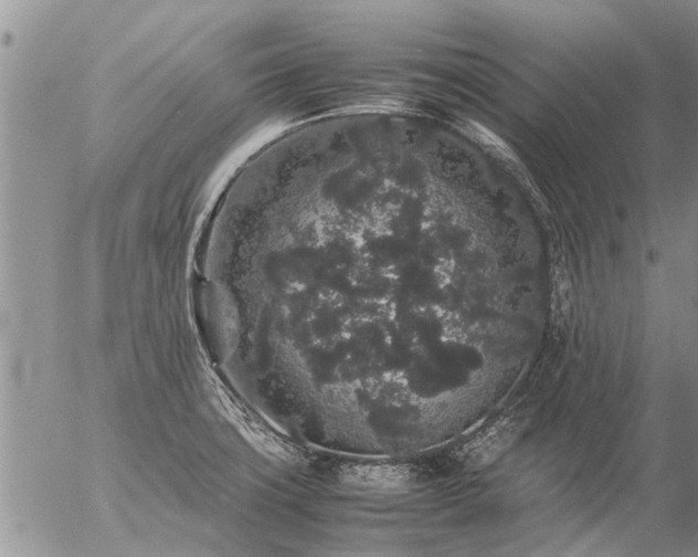 X0000057101427200509161643