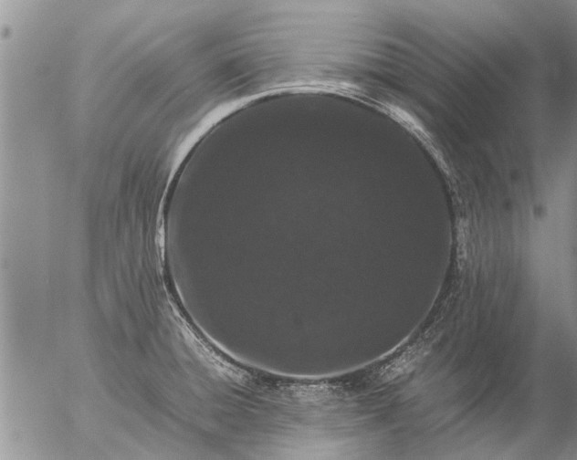 X0000057101428200509161643