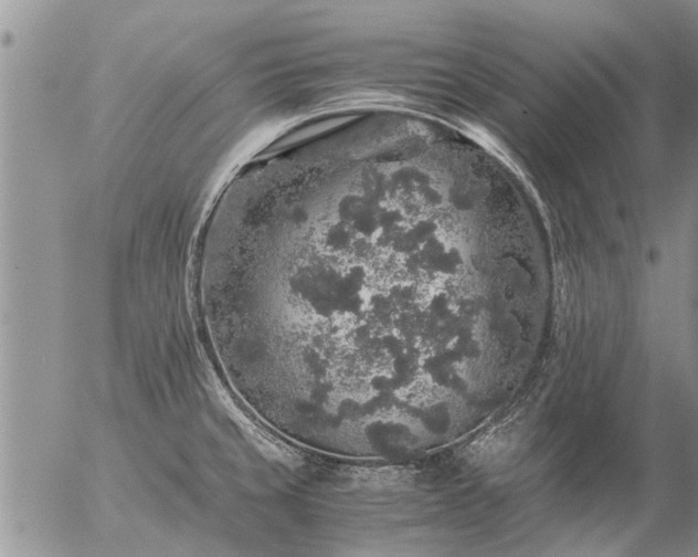 X0000057101429200509161643