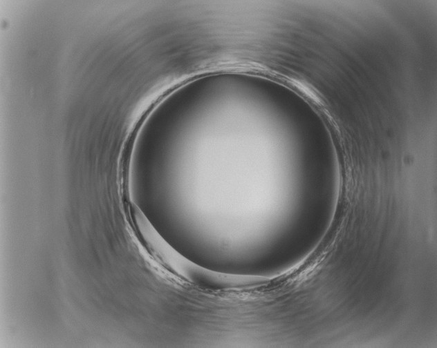 X0000057101430200509161643