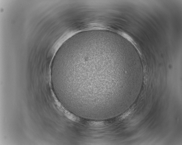 X0000057101431200509161643