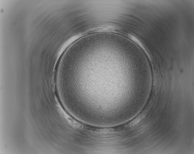 X0000057101434200509161643