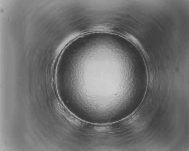 X0000057101435200509161643