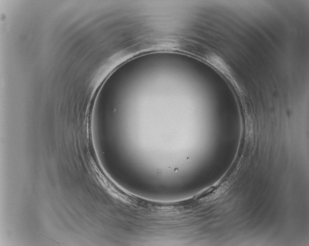 X0000057101436200509161643