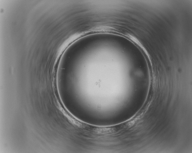 X0000057101437200509161643