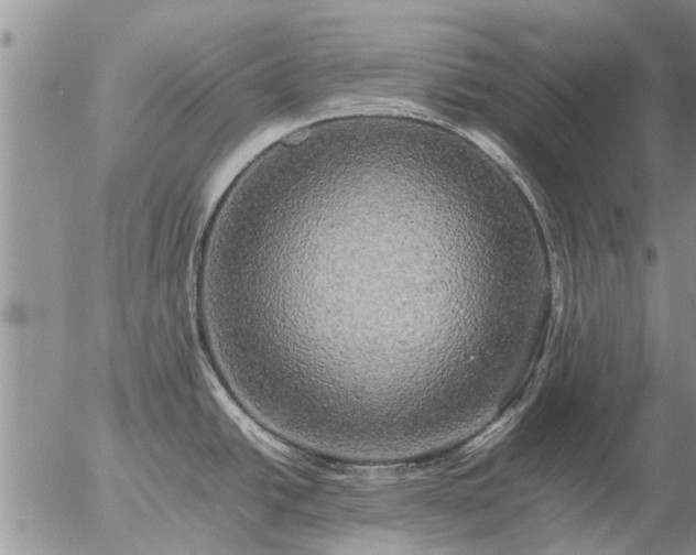 X0000057101438200509161643