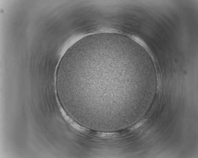 X0000057101439200509161643