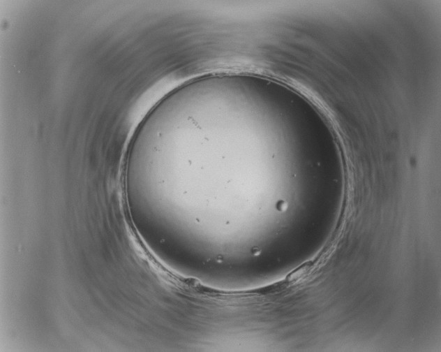 X0000057101440200509161643