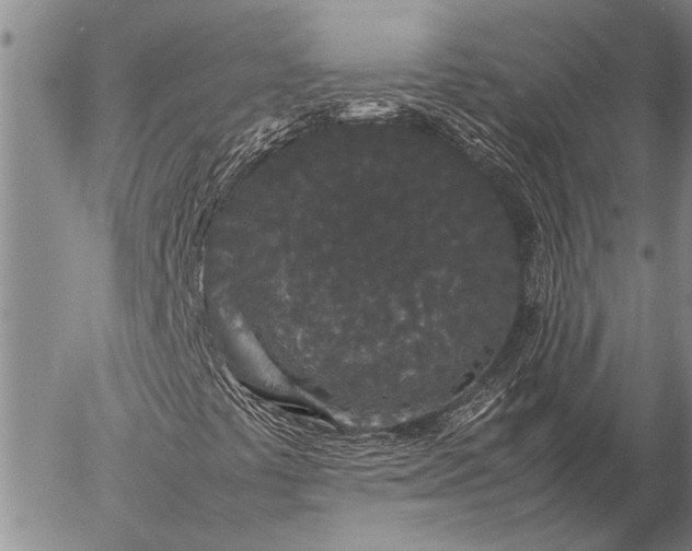 X0000057101441200509161643