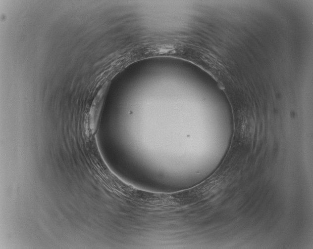 X0000057101442200509161643