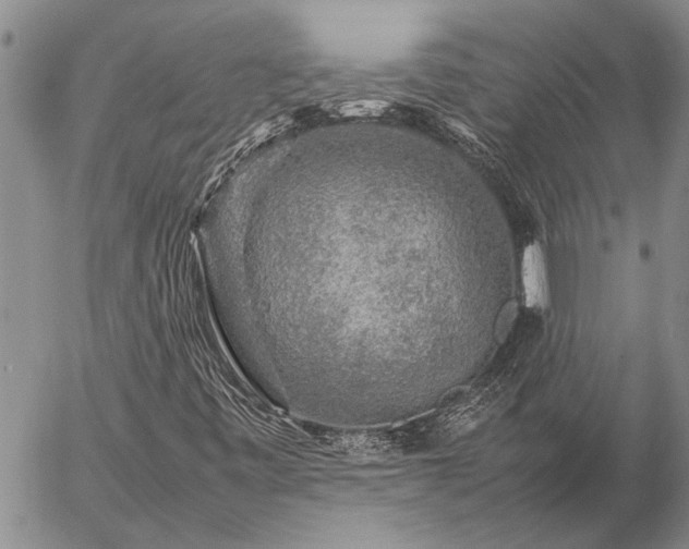 X0000057101443200509161643