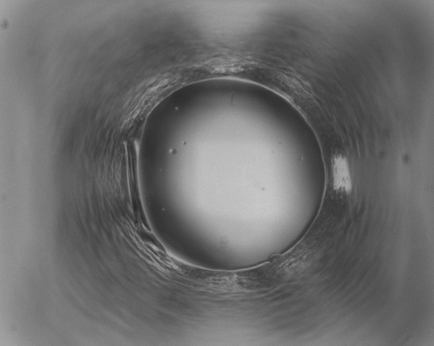 X0000057101444200509161643