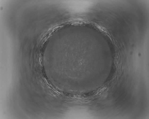 X0000057101445200509161643