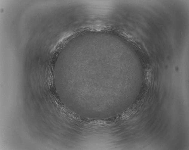 X0000057101446200509161643