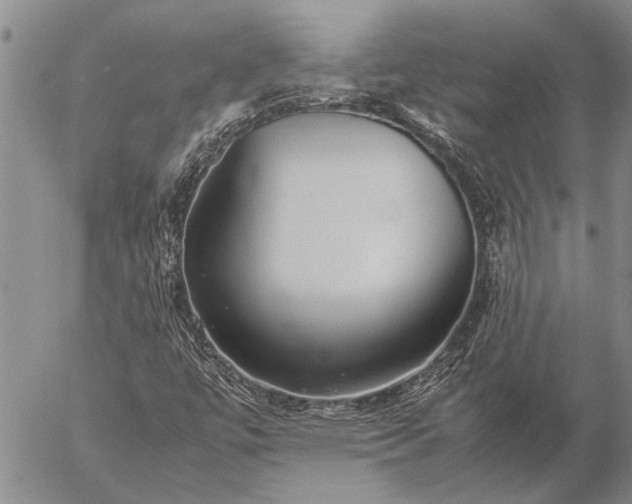 X0000057101447200509161643