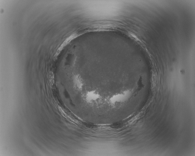 X0000057101449200509161642