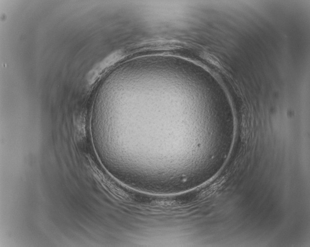 X0000057101451200509161642