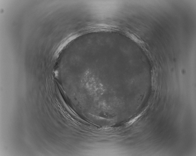 X0000057101453200509161642