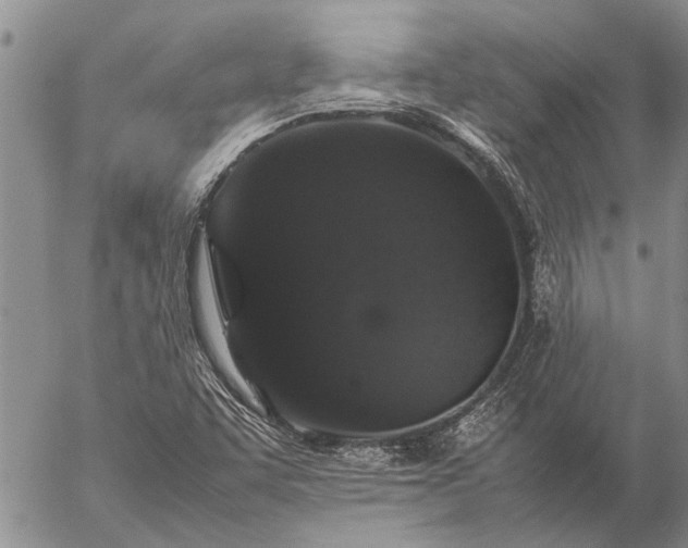 X0000057101455200509161642