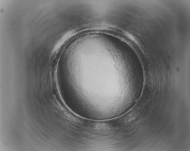 X0000057101456200509161642