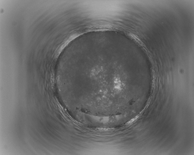 X0000057101457200509161642