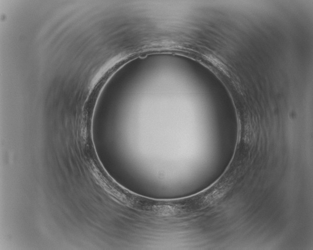 X0000057101458200509161642