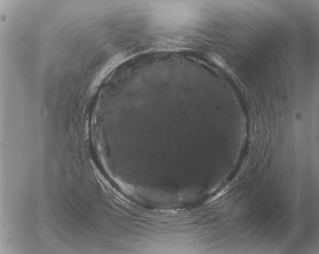 X0000057101459200509161642