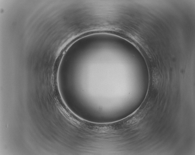 X0000057101460200509161642