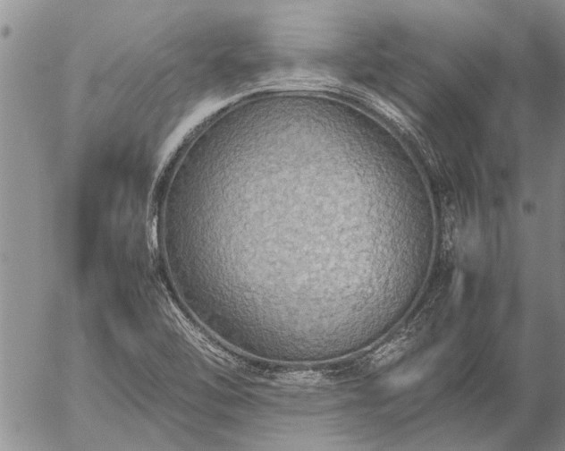 X0000057101462200509161642