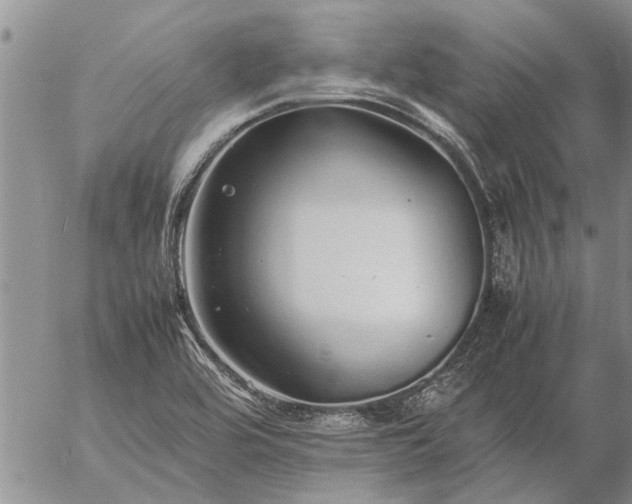 X0000057101464200509161642