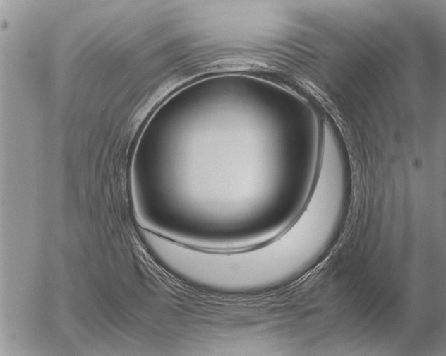 X0000057101465200509161642