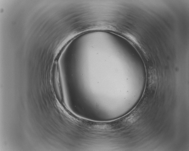 X0000057101468200509161642