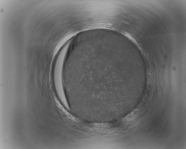 X0000057101469200509161642