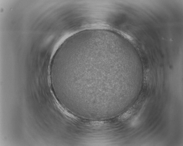 X0000057101470200509161642