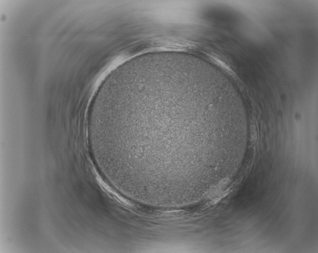 X0000057101471200509161642