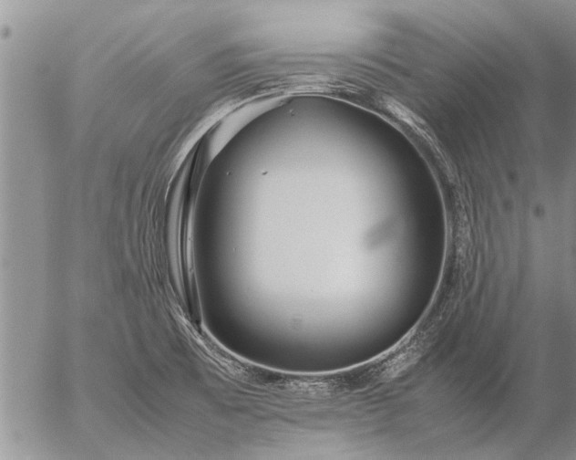 X0000057101473200509161642