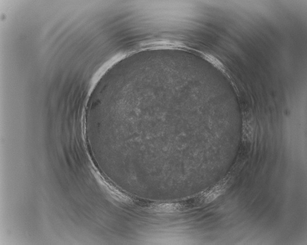 X0000057101474200509161642