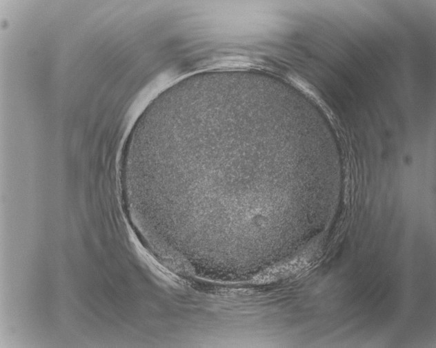 X0000057101475200509161642