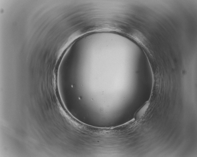 X0000057101476200509161642