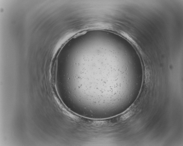 X0000057101477200509161642