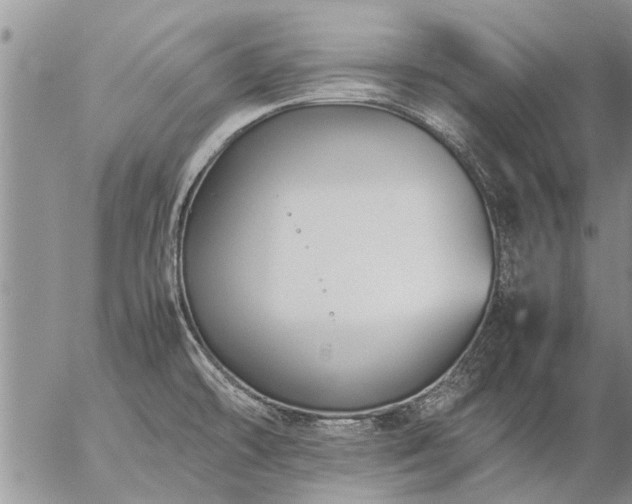 X0000057101478200509161642