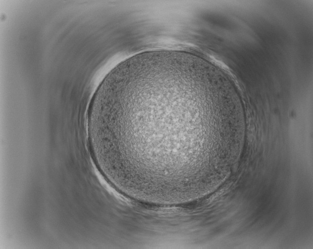 X0000057101479200509161642