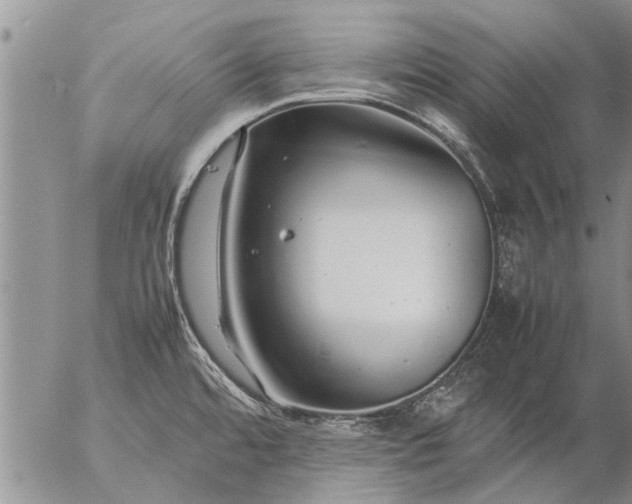 X0000057101480200509161642