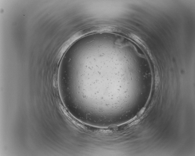 X0000057101481200509161642