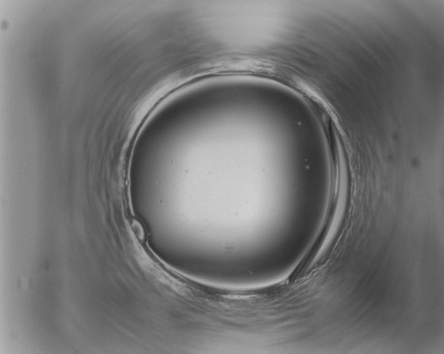 X0000057101483200509161642